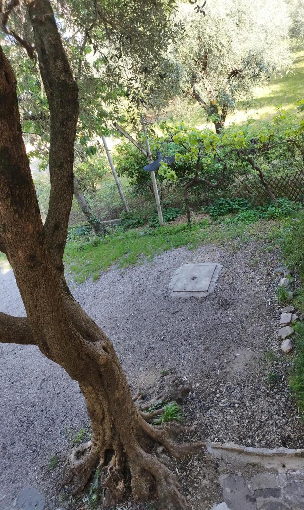 Apartament Casa Di Nin Torbole Sul Garda Zewnętrze zdjęcie